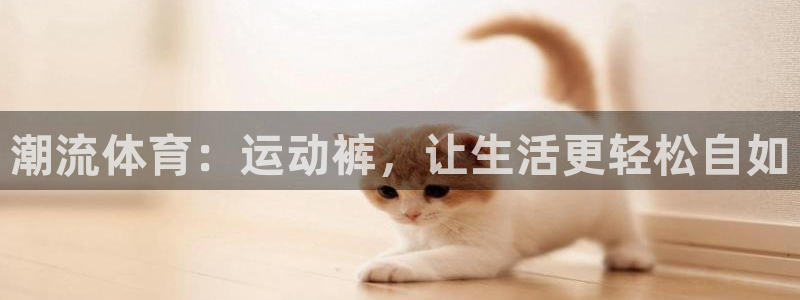 意昂42登录：潮流体育：运动裤，让生活更轻松自如