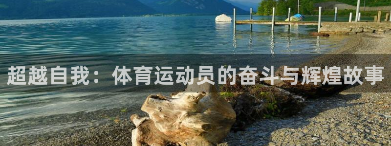 意昂4体育论坛：超越自我：体育运动员的奋斗与辉煌故事