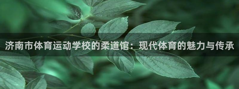 意昂44代理：济南市体育运动学校的柔道馆：现代体育的魅力与传承