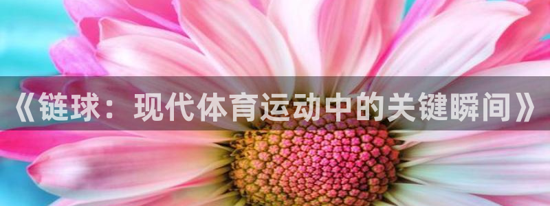 意昂4老板：《链球：现代体育运动中的关键瞬间》