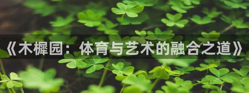 意昂42平台登录：《木樨园：体育与艺术的融合之道》