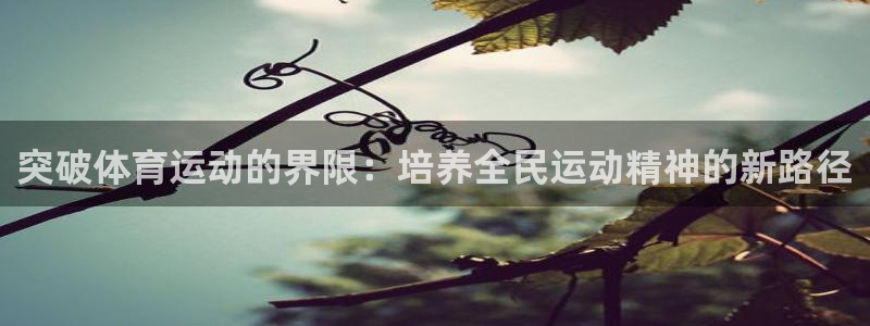 意昂42平台注册：突破体育运动的界限：培养全民运动精神的新路径