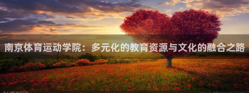 意昂4体育娱乐总代：南京体育运动学院：多元化的教育资源与文化的融合之路