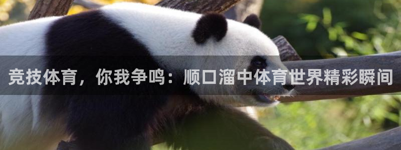 意昂4体育注册登录入口：竞技体育，你我争鸣：顺口溜中体育世界精彩瞬间