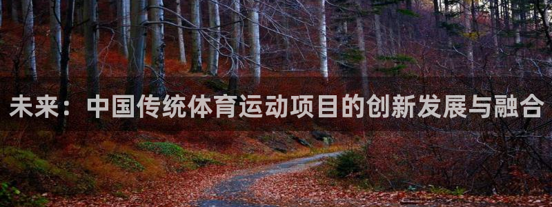 意昂42官网：未来：中国传统体育运动项目的创新发展与融合
