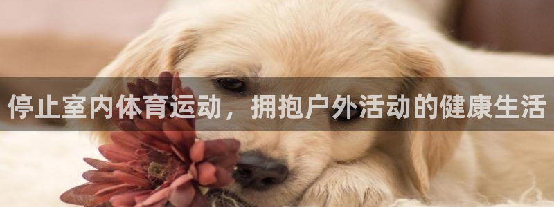 意昂4平台代理：停止室内体育运动，拥抱户外活动的健康生活