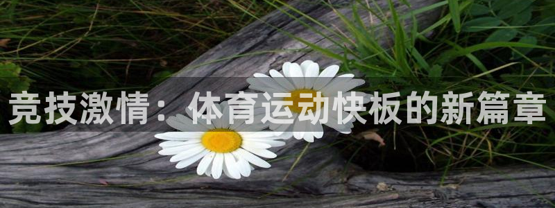 意昂4平台招商：竞技激情：体育运动快板的新篇章