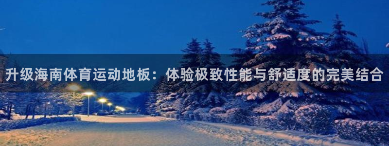 意昂44平台：升级海南体育运动地板：体验极致性能与舒适度的完美结合