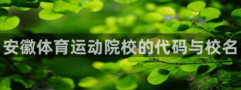 意昂4集团股票：安徽体育运动院校的代码与校名