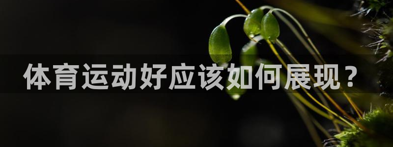 意昂44：体育运动好应该如何展现？