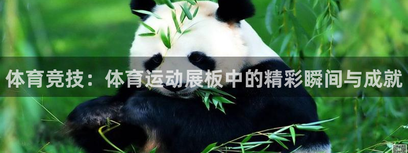 意昂4体育2：体育竞技：体育运动展板中的精彩瞬间与成就