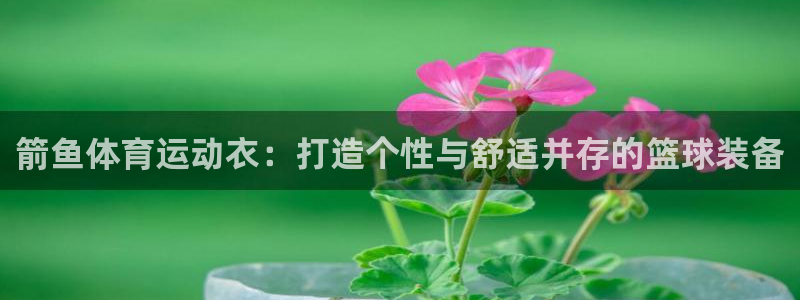 意昂4体育平台开号链接：箭鱼体育运动衣：打造个性与舒适并存的篮球装备