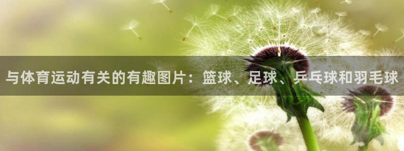 意昂43登录：与体育运动有关的有趣图片：篮球、足球、乒乓球和羽毛球