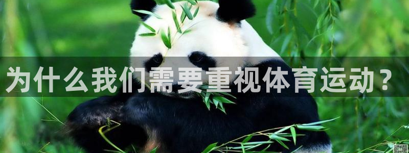 意昂4平台总代理：为什么我们需要重视体育运动？