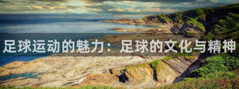 意昂4代理：足球运动的魅力：足球的文化与精神