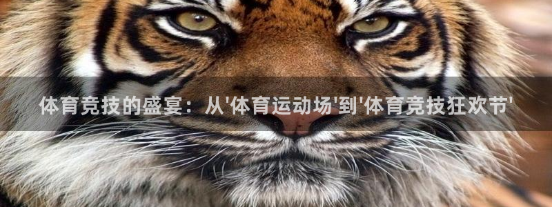 意昂4老板：体育竞技的盛宴：从\'体育运动场\'到\'体育竞技狂欢节\'