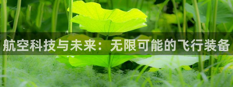 www.意昂4体育.com：航空科技与未来：无限可能的飞行装备