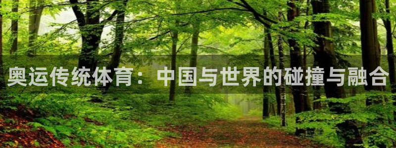 意昂4登录入口：奥运传统体育：中国与世界的碰撞与融合