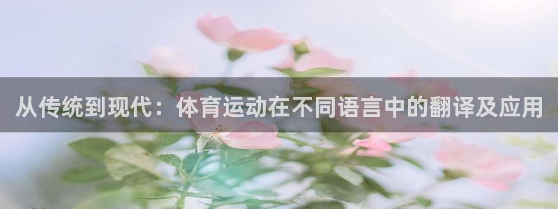 意昂4：从传统到现代：体育运动在不同语言中的翻译及应用